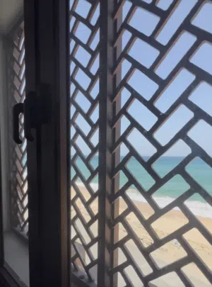 شقه السيفه  اليومي