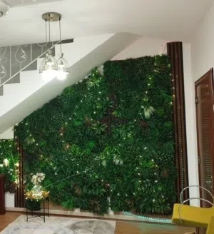 نباتات متسلقة ومعلقة