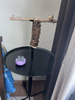 Bird stand