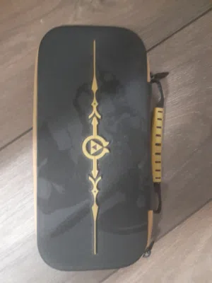 Nintendo Zelda Case