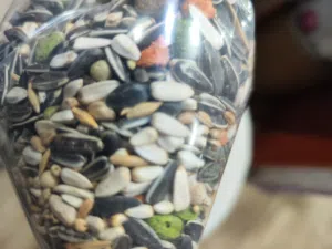 خلطة لكل انواع الطيور كمكل غذائي يومي لإستكمال الاملاح والمعادن والمواد المغذية الضرورية لصحة الطير