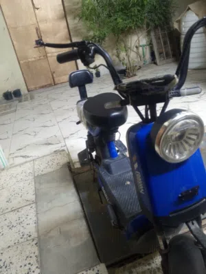 دراجه  ٫ ريان ٫ حجم 14 ٫ سعر 300واكو مجال حلو