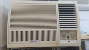 Pearl Window AC 2ton