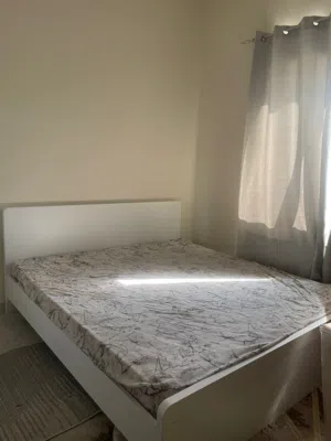 سریر جمیل خزانه جدید