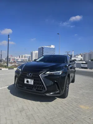 Lexus NX350 2024 US Spec