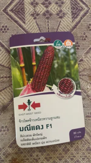 بذور ذره بنفسجيه F-1