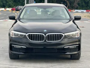 Make: BMW 520 Model: 2020