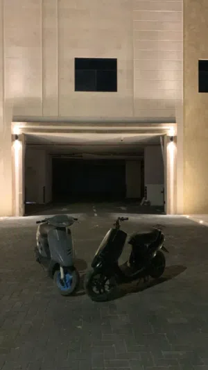 مشراع دايو 2 للبيع