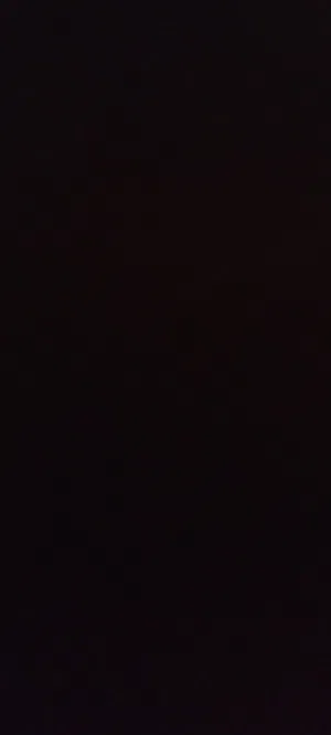 اليزيد طارق الحسنى 