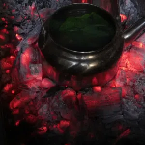 ابو العز 