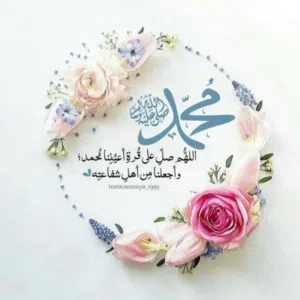 بندر بندر بندر