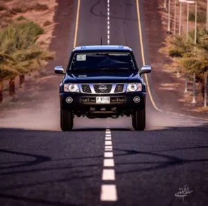 الحارثي 