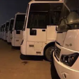 بوناصر 