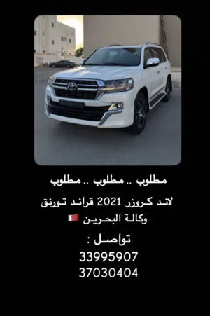 مطلوب مطلوب