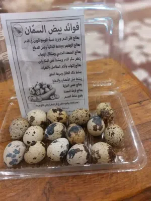 بيض سمان جامبو 80 بلميه مخصب للبيع