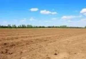 Farm Land for Sale in Aqaba Qweira