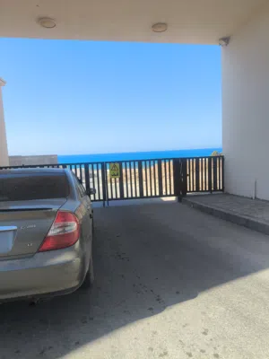 تيوتا كامري بقرة
