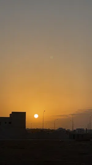 مطلوب تيس او كبش مرضاع