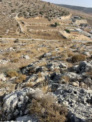 قطعة ارض للبيع