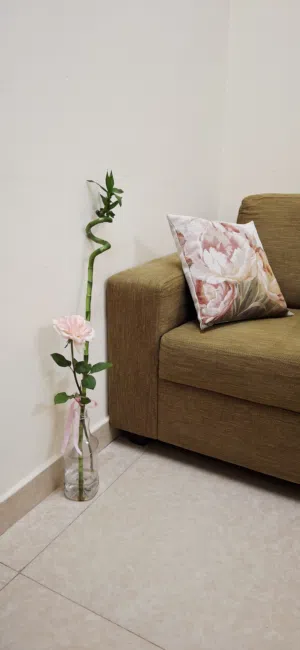 سكن موظفات مشترك -شقة female hostel