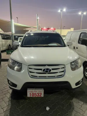 Hyundai Santa Fe 2010