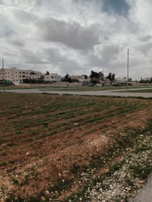 Mixed Use Land for Sale in Amman Al Qastal