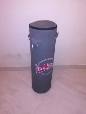 Brand new Punching Bag and Boxing gloves