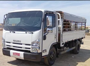 للبيع عجله عجل عجال بقره كبش قعود تيس اقرأ الوصف تحت