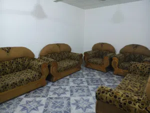 تخم قنفات مستعمل