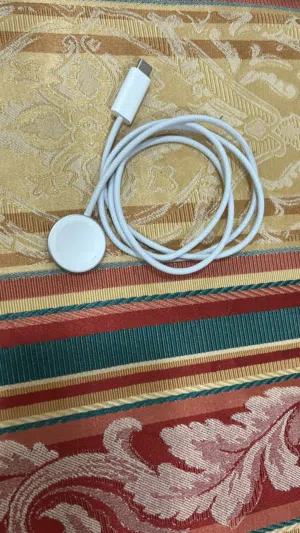 Apple watch c type cable