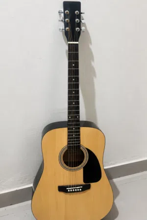 XP GUITARS