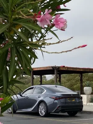 Used Lexus IS in Muscat