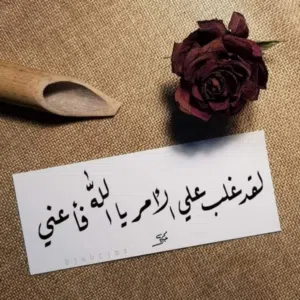 نورا محمود