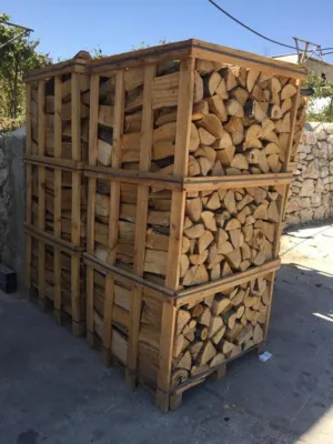 حطب بلوط مستورد