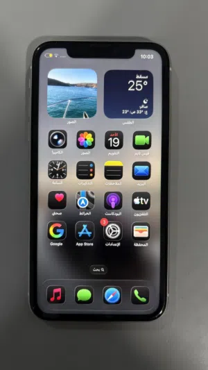 Apple iPhone 11 128 GB in Al Dhahirah