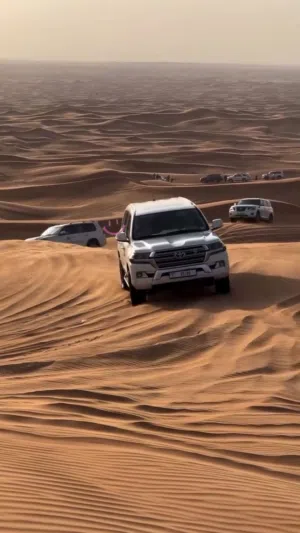 أيهم التركي 