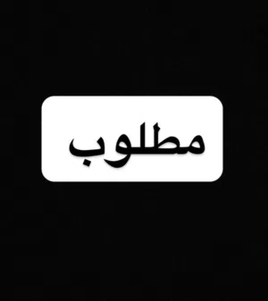 apple-ipad-other-in-zarqa