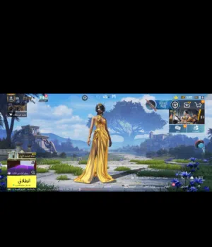 حساب ببجي للبيع