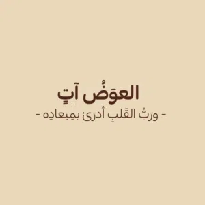 member16163280523 