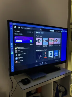 Philips 43” LCD TV