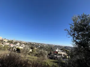 سوادة السلط تقريبا دونم ب 57 الف