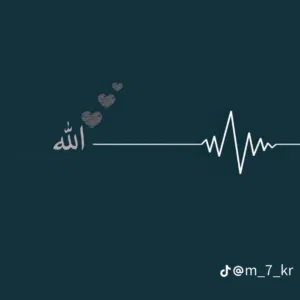 صقر 