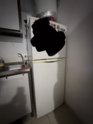 Fridge للبيع