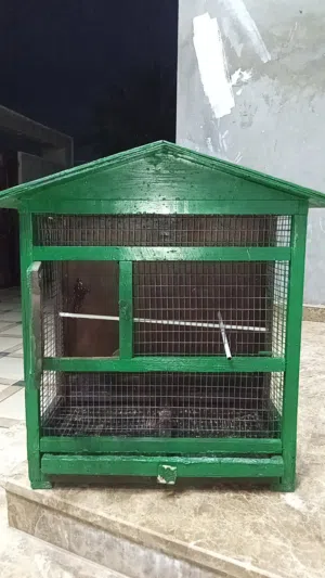 متاح قفص طيوره ربي يبارك نضيف