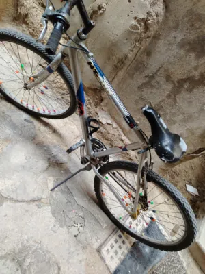 بسكليت أمريكي للبيع