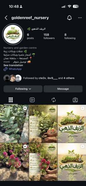 اعرض جهنميات قزميات بسعر جميل و في متناول اليد و يوجد توصيل ، التفاصيل كلها تحت ...