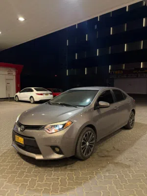 Used Toyota Corolla in Muscat
