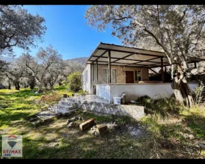 3 Bedrooms . One Bathroom . 80 m20