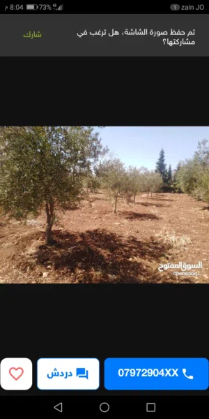 المصطبه مشجره زيتون مسنسله واصل الخدمات