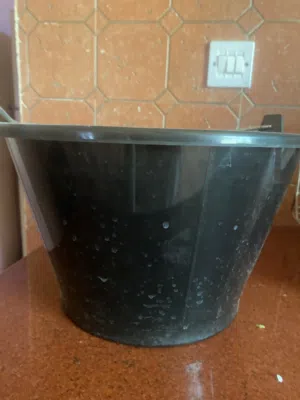 رطب جميع الأنواع